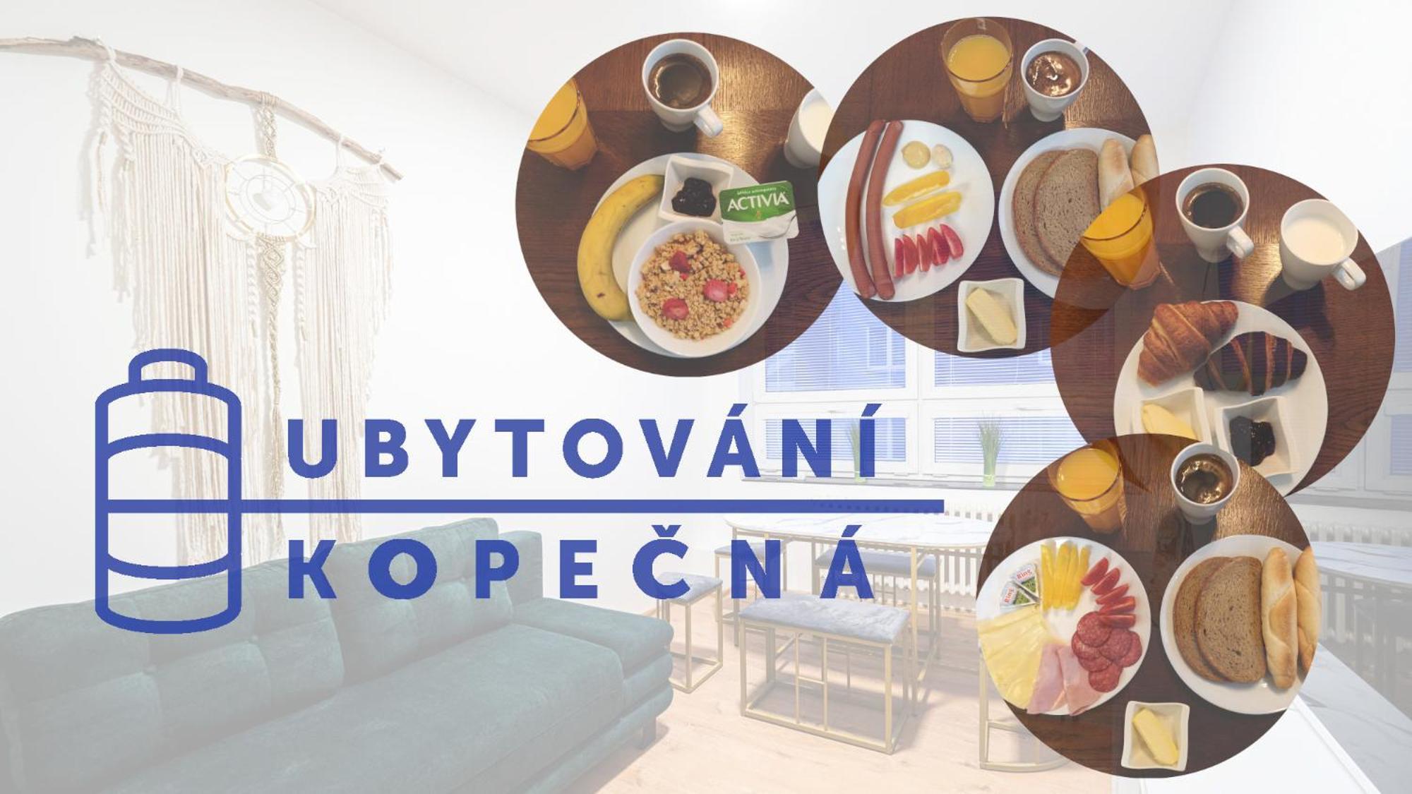 Apartments Kopecna With Parking Brno Exterior photo
